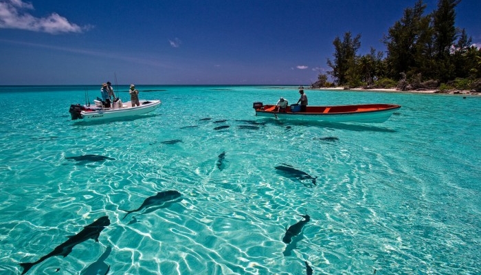 Volo Hotel Seychelles Volo Hotel Seychelles