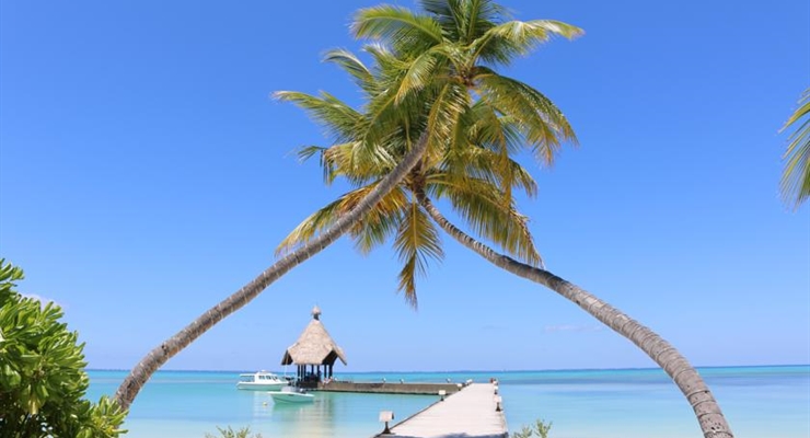 Canareef Resort Maldives - Maldive, Spiaggia 