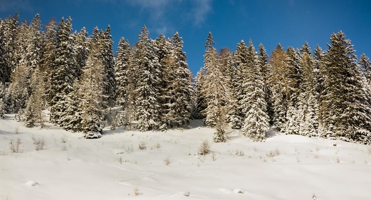 Natale e Capodanno sulla neve - Folgarida