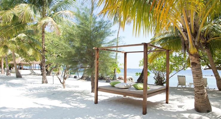 Equator Village Resort - Maldive