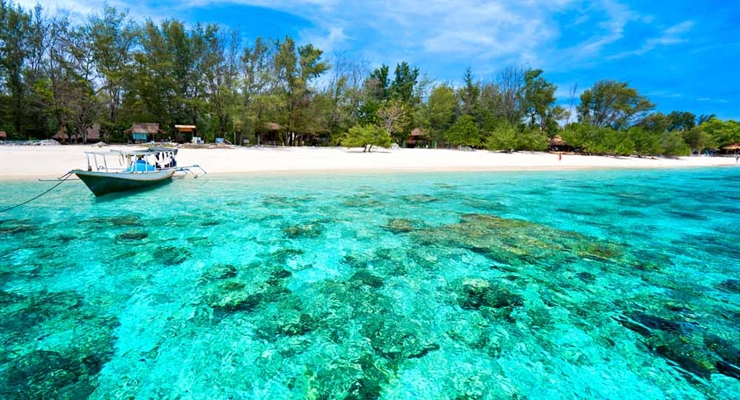 Mare Bali