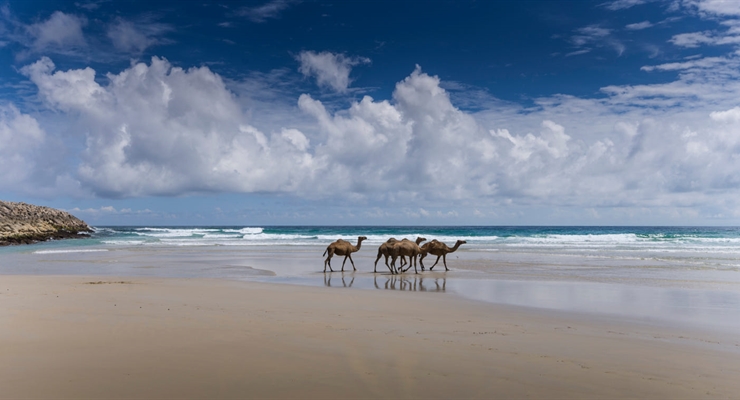 Salalah - Oman