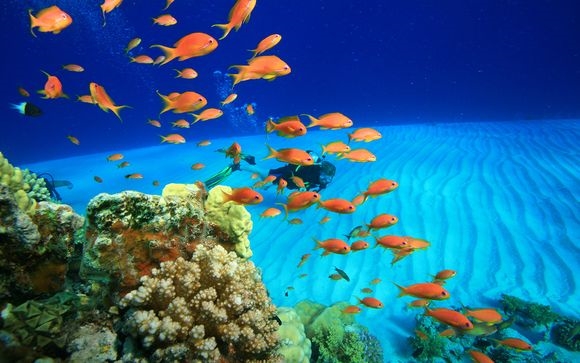 Marsa Alam - Egitto