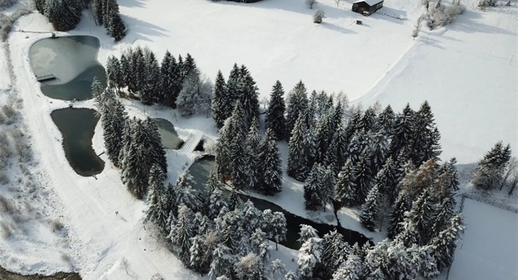 Parco Naturale delle Dolomiti Friulane