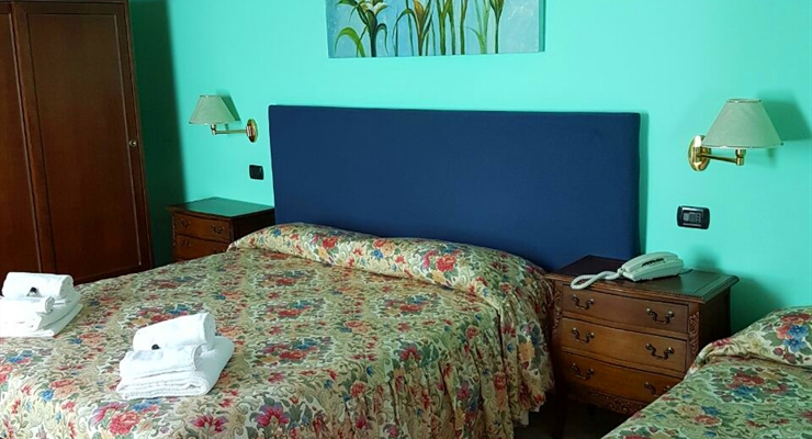 Hotel Lion - Roure