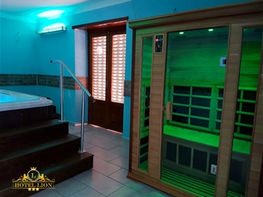 Hotel Lion - Roure