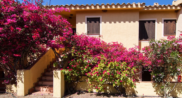 Residence Torre delle Stelle
