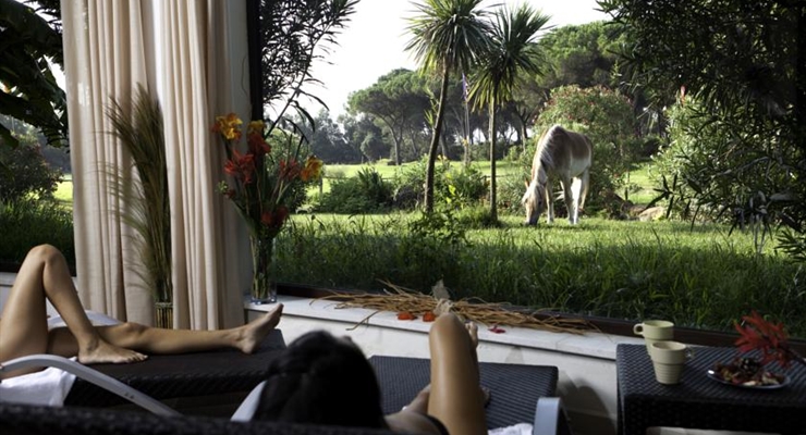 Horse Country Resort