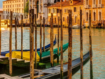 Venezia
