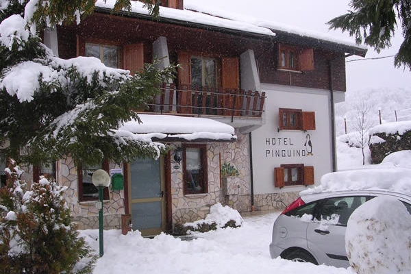 Hotel Pinguino - Pescasseroli, Struttura