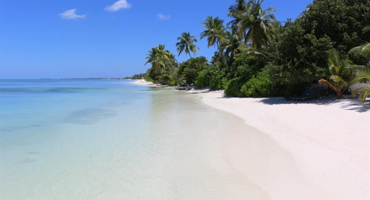 Canareef Resort Maldives - Maldive, Spiaggia