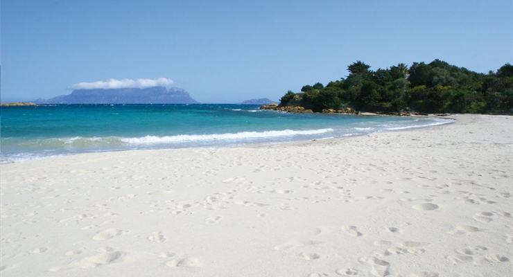 Spiagge Pittulongu