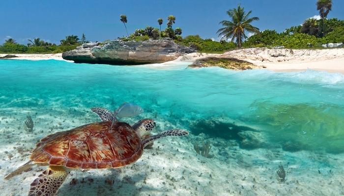 Playa del Carmen - Messico