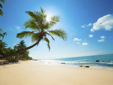 Barbados - Caraibi