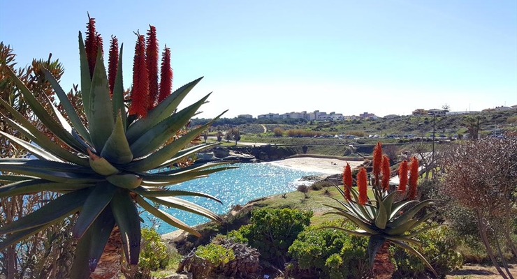 Spiagge Porto Torres - Sardegna