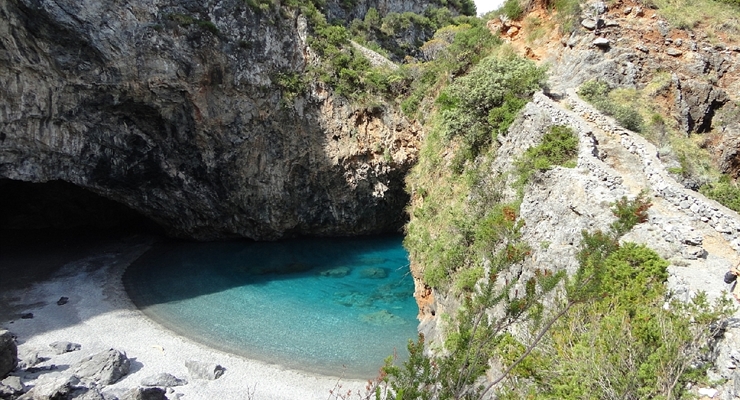 Particolare naturale La Mantinera