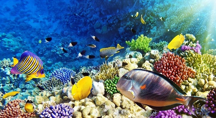 Pasqua a Sharm el Sheikh 