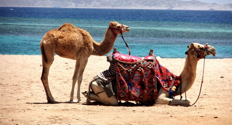 Sharm el Sheikh - Egitto