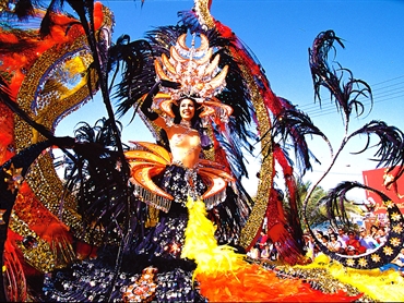 Carnaval de Tenerife