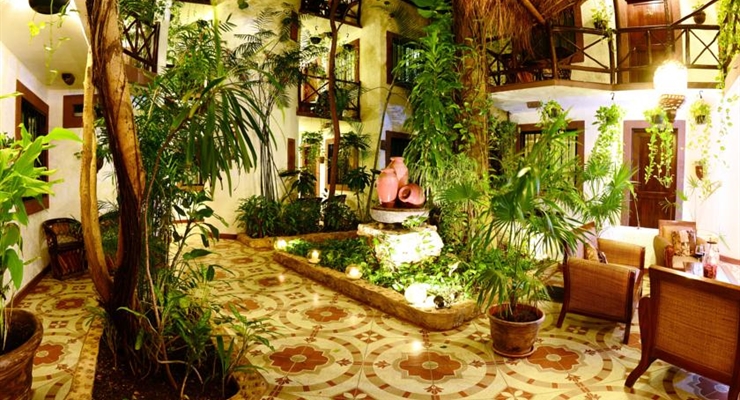 Posada Mariposa - Messico, Spazi comuni