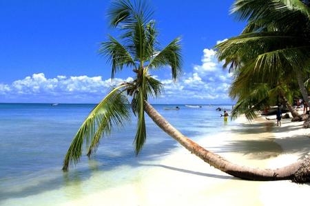 Spiagge Bayahibe