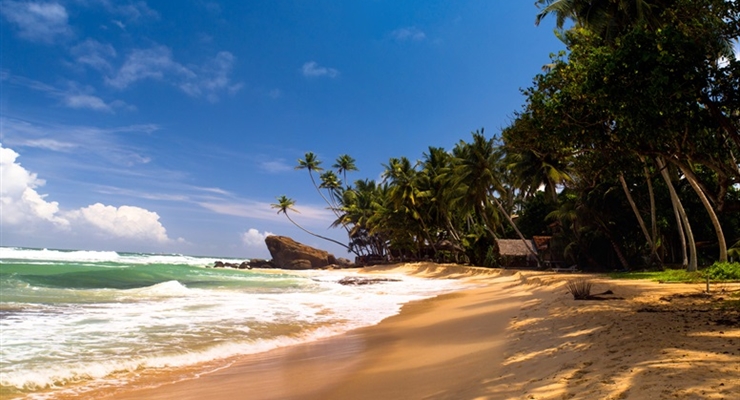 Spiagge Sri Lanka