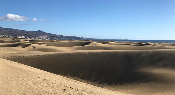 Dune Maspalomas