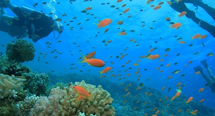 Marsa Alam Egypt