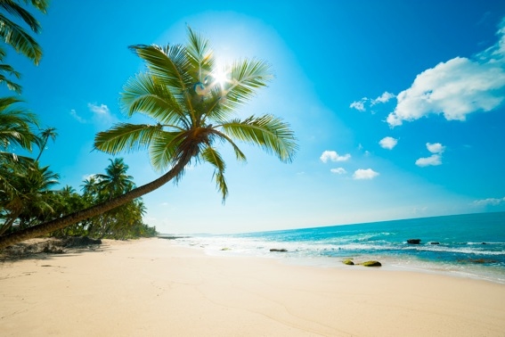 Spiagge Zanzibar