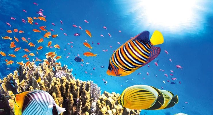 Marsa Alam Beach