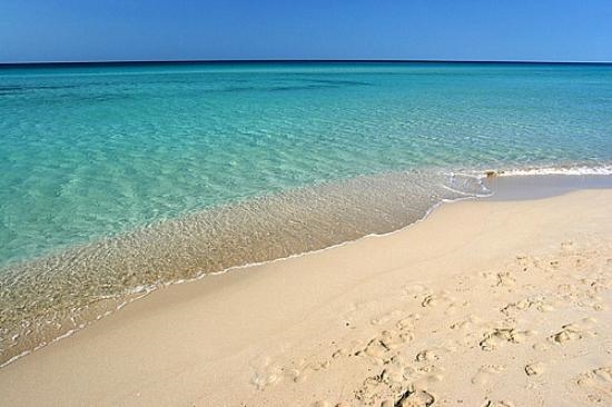 Marina di Pescoluse