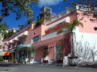 Hotel Il Nespolo - Casamicciola, Struttura