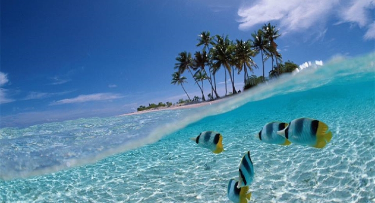 Mare Cuba