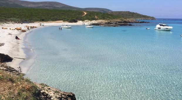 Spiagge Macinaggio - Corsica