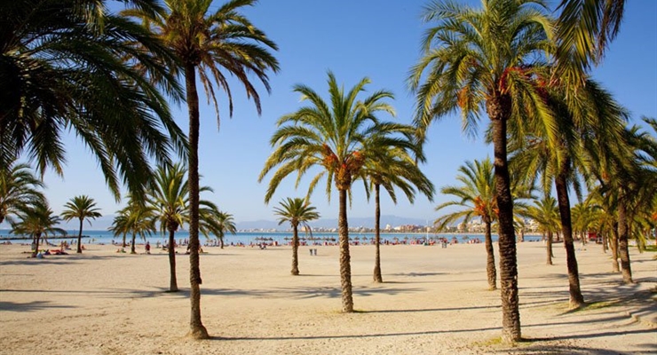 Spiagge El Arenal - Maiorca
