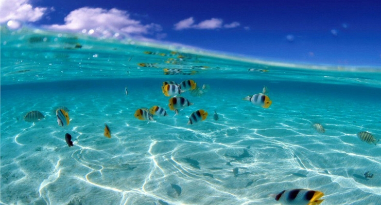 Mare Maldive