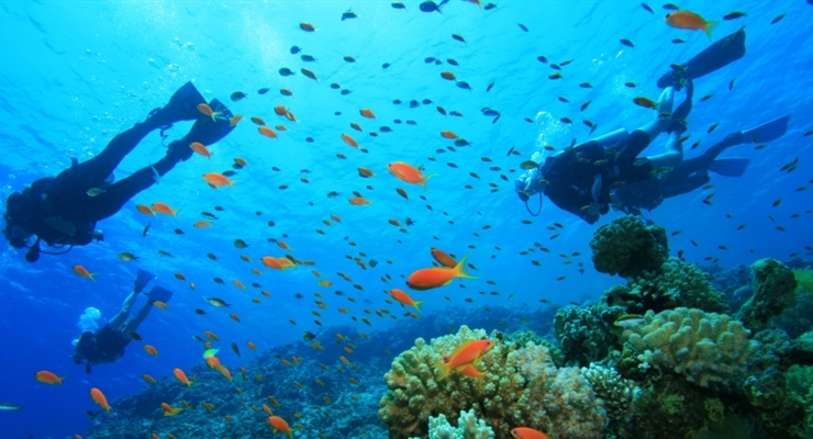 Sharm el Sheikh Last Minute